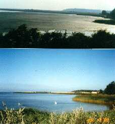 Udsigt over Dybsø fjord før og efter grøn rensning